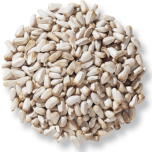 parrot flower seeds 1017 Aria Raw Unsalted Safflower Seeds (In Shell)