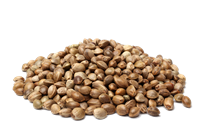 parrot plant seeds Aria Raw Unsalted Hemp Seeds
