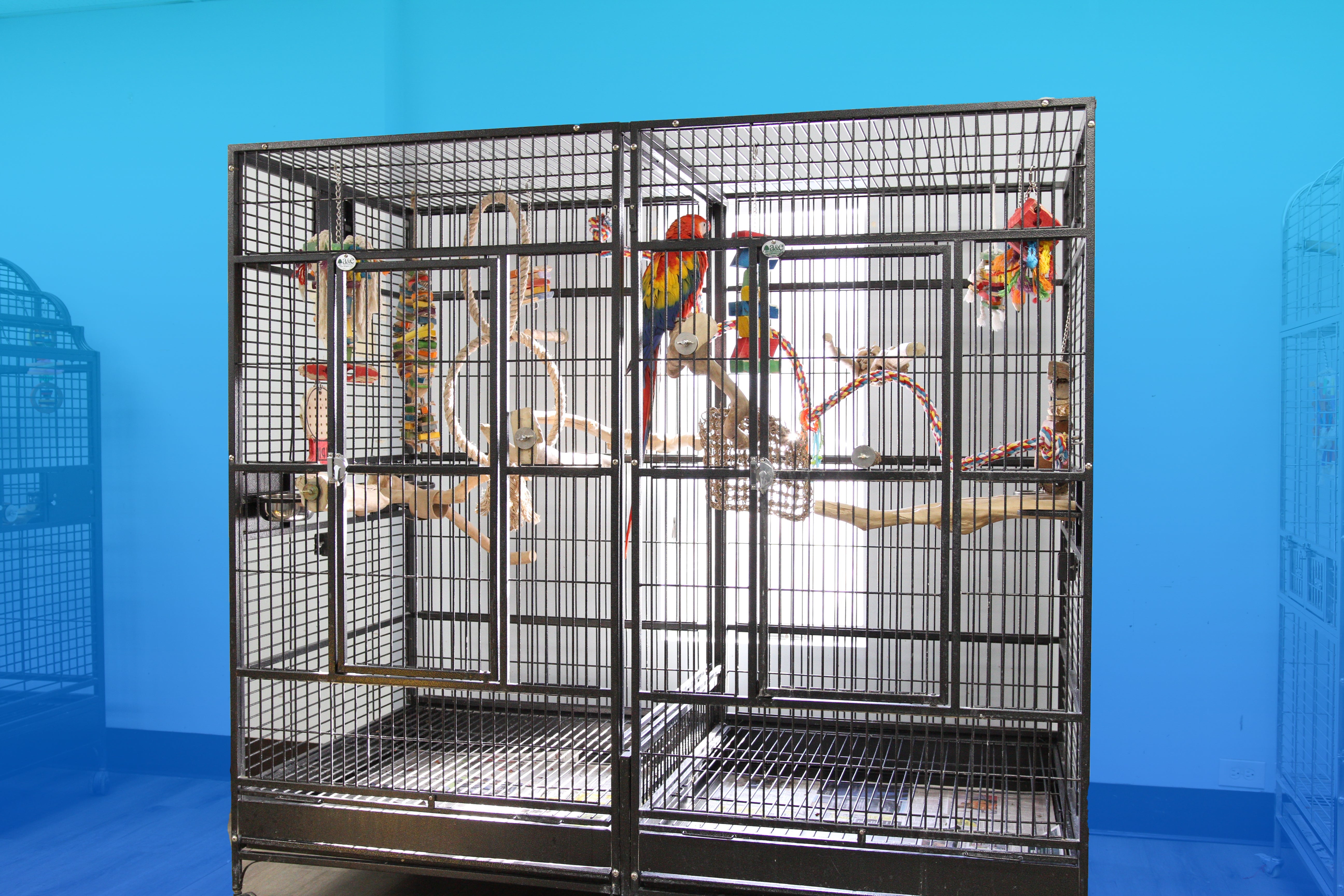 Parrot Cages