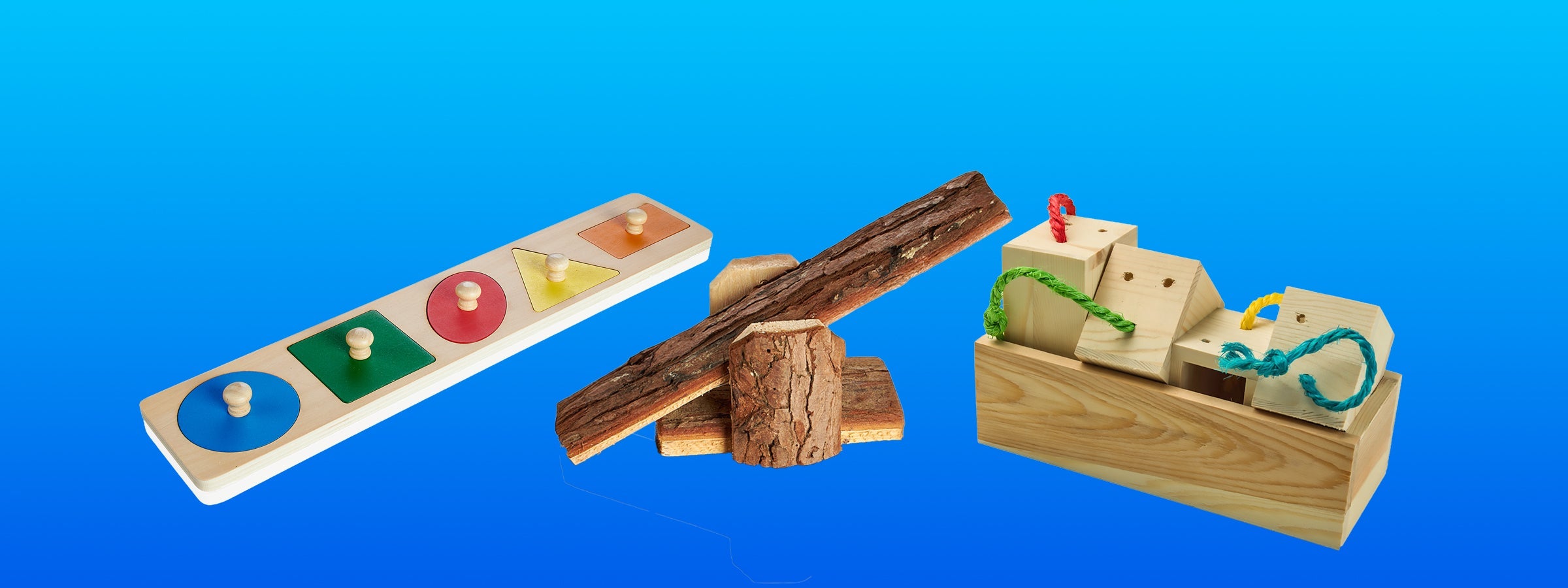 Interactive & Training Toys