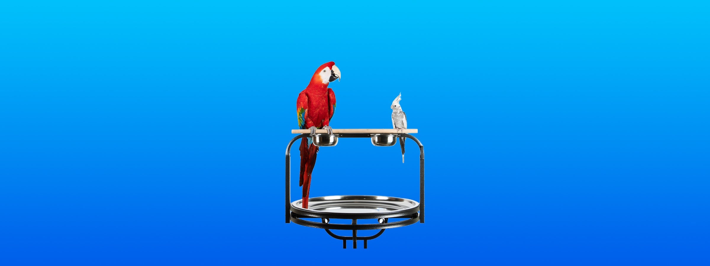 Play Stands & Training Stands