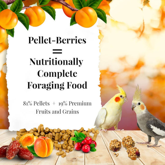 Lafeber's Pellet-Berries for Cockatiels - 10oz