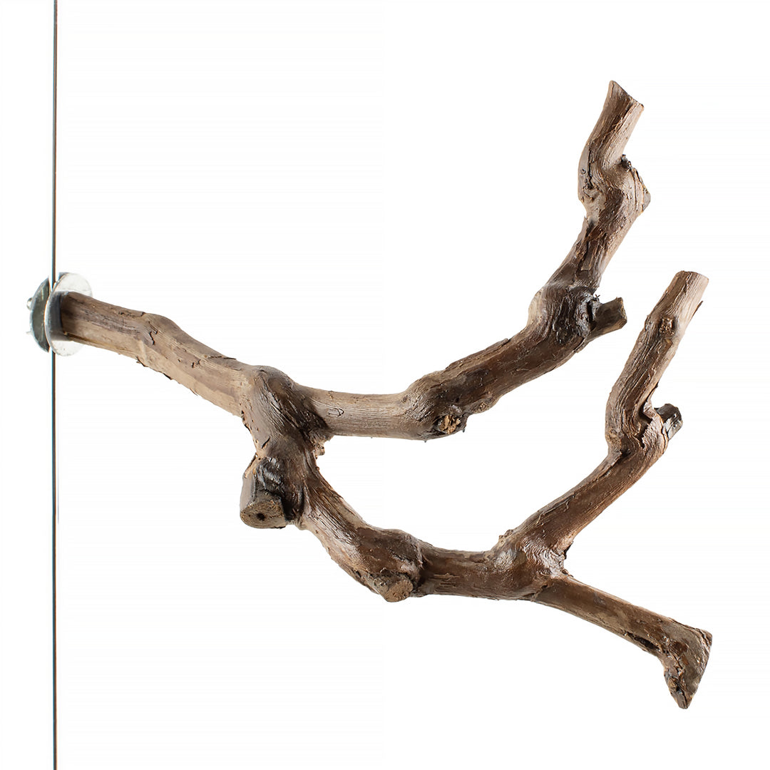 Aria Grape Vine Multi-Branch Perch 10" - Natural Wood Bird Perch #8086