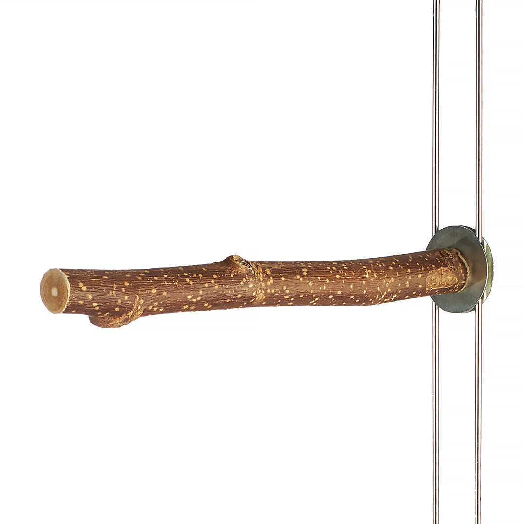 Aria Natural Wood Perch Single 9" - Real Wood Bird Perch #8094