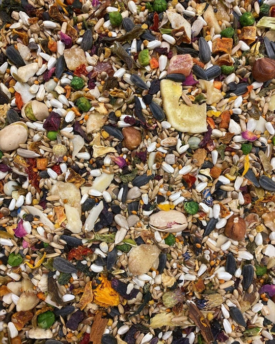 #1004 Aria Nature's Enrichment High-Variety Seed Blend for Medium Parrots - 3lb