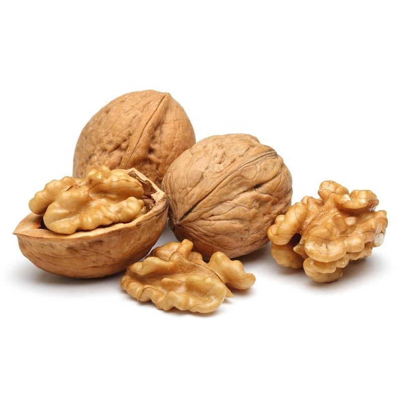 Aria Nature's Raw Unsalted Walnuts (In Shell) – Parrot Foraging Enrichment Nut #1019 - 1lb