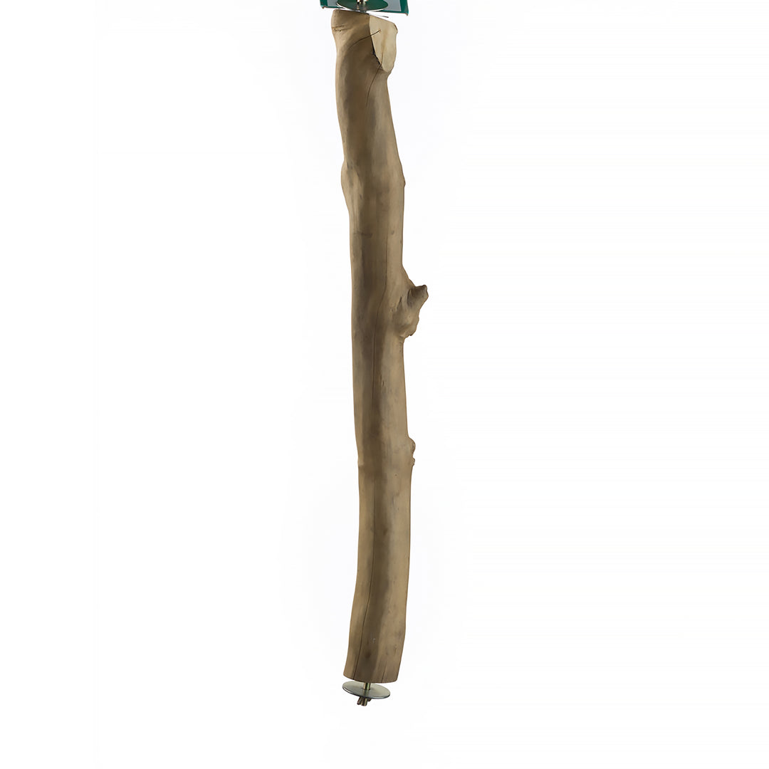 Aria Java Single Perch Medium - Natural Wood Bird Perch #5003