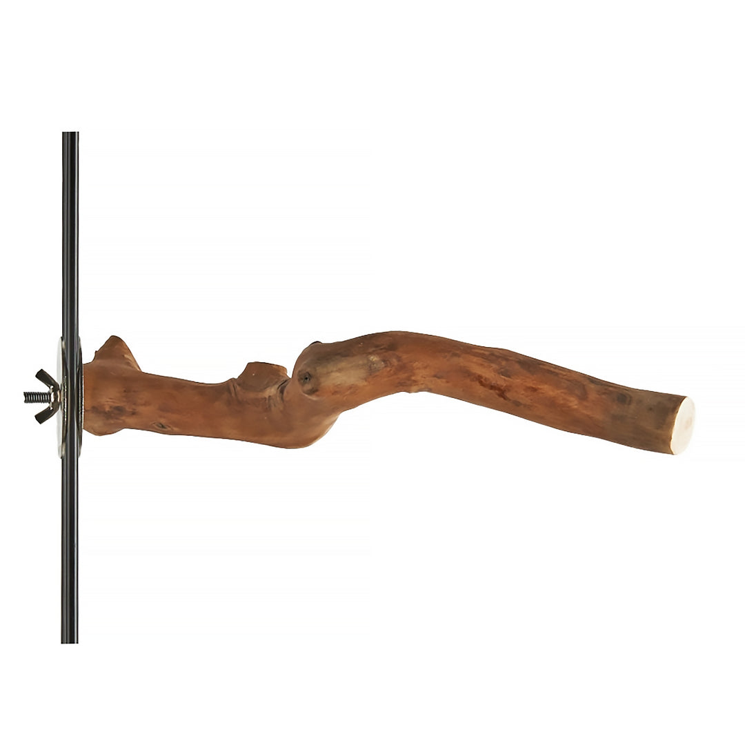 Aria Java Single Perch Medium - All-Natural Wood Bird Perch #5055