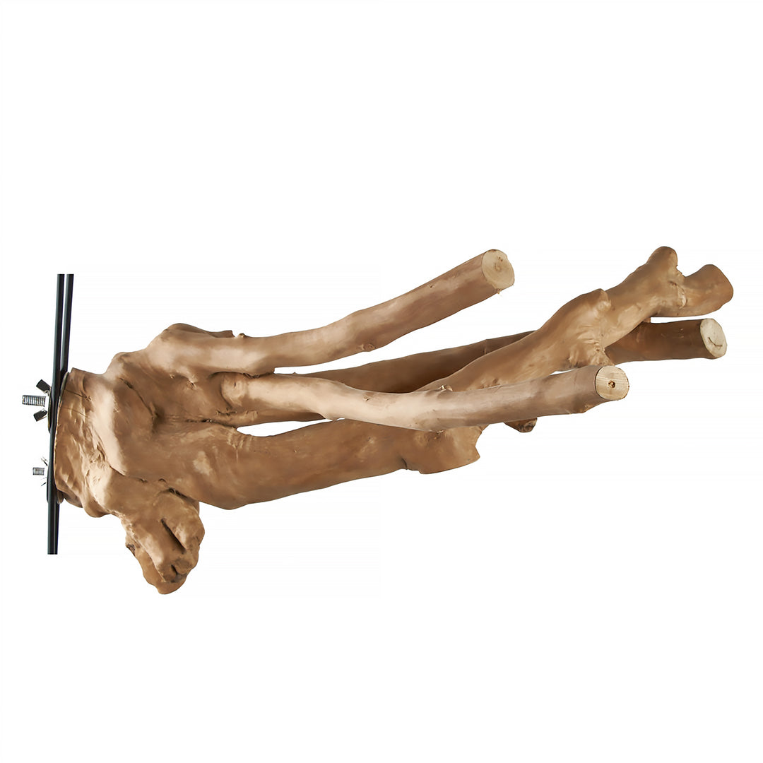 Aria MXL Java Multi-Branch Perch X-Large - All-Natural Wood Bird Perch #5098