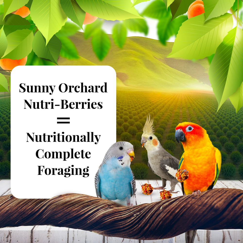 Lafeber's Sunny Orchard Nutri-Berries for Cockatiels - 10oz