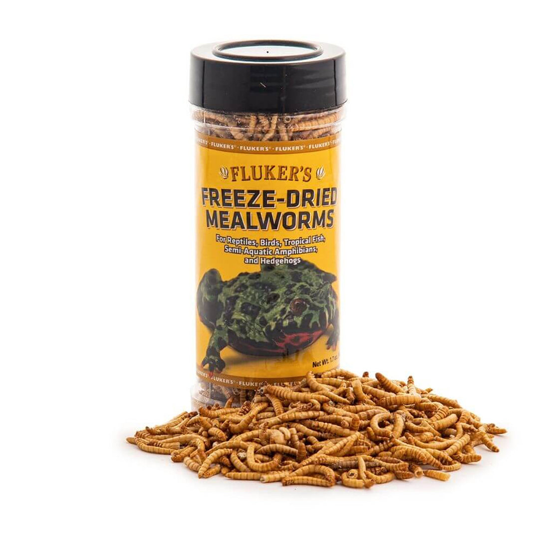 Fluker's Freeze-Dried Mealworms - 1.9oz