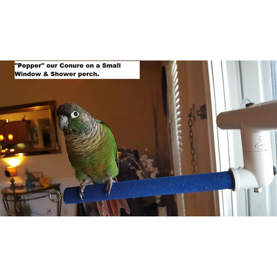 Polly's Pet Products Window & Shower Perch Small - Portable Sandy Bird Perch
