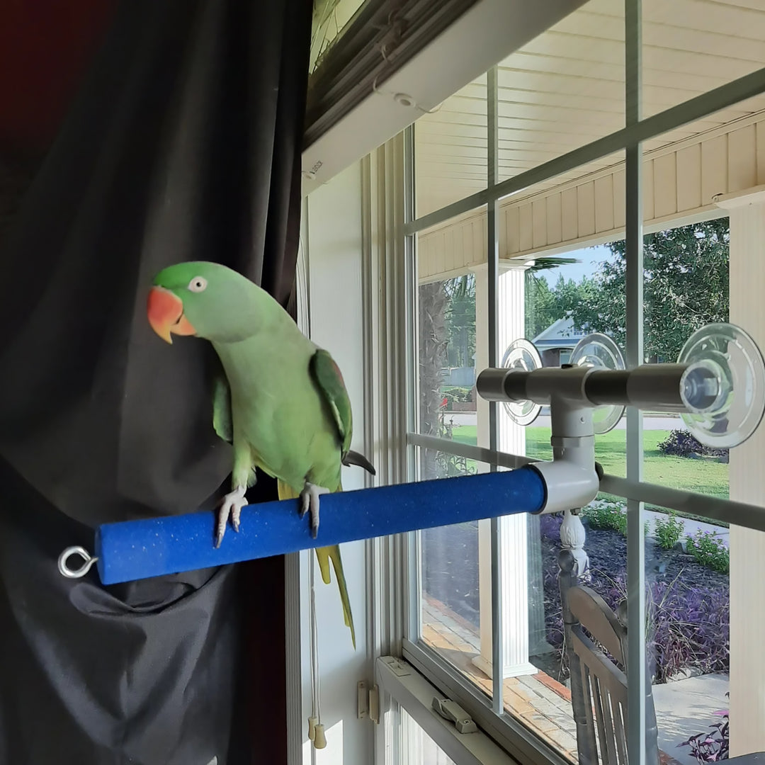 Polly's Pet Products Window & Shower Perch Large - Portable Sandy Bird Perch