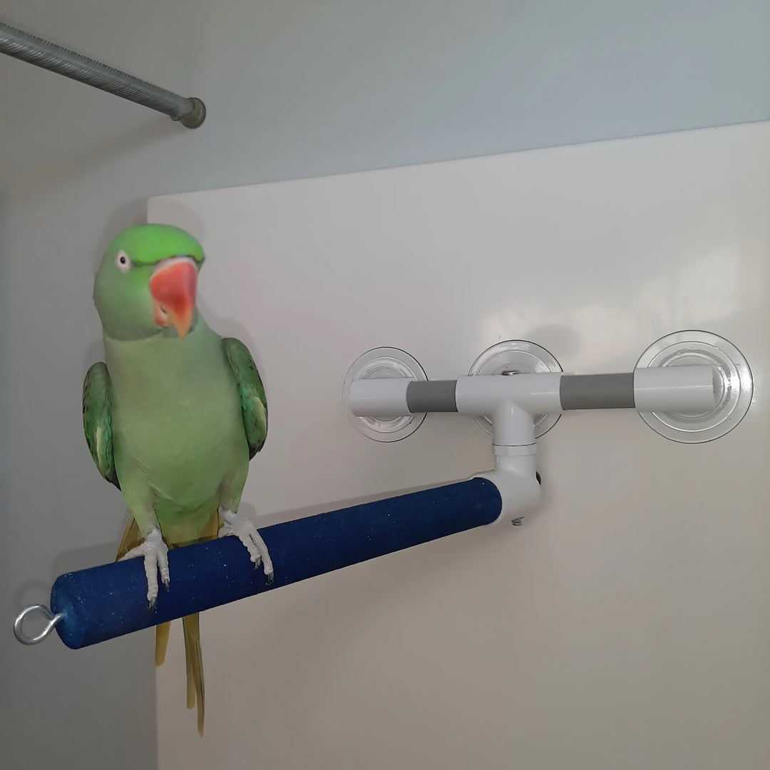 Polly's Pet Products Window & Shower Perch Large - Portable Sandy Bird Perch