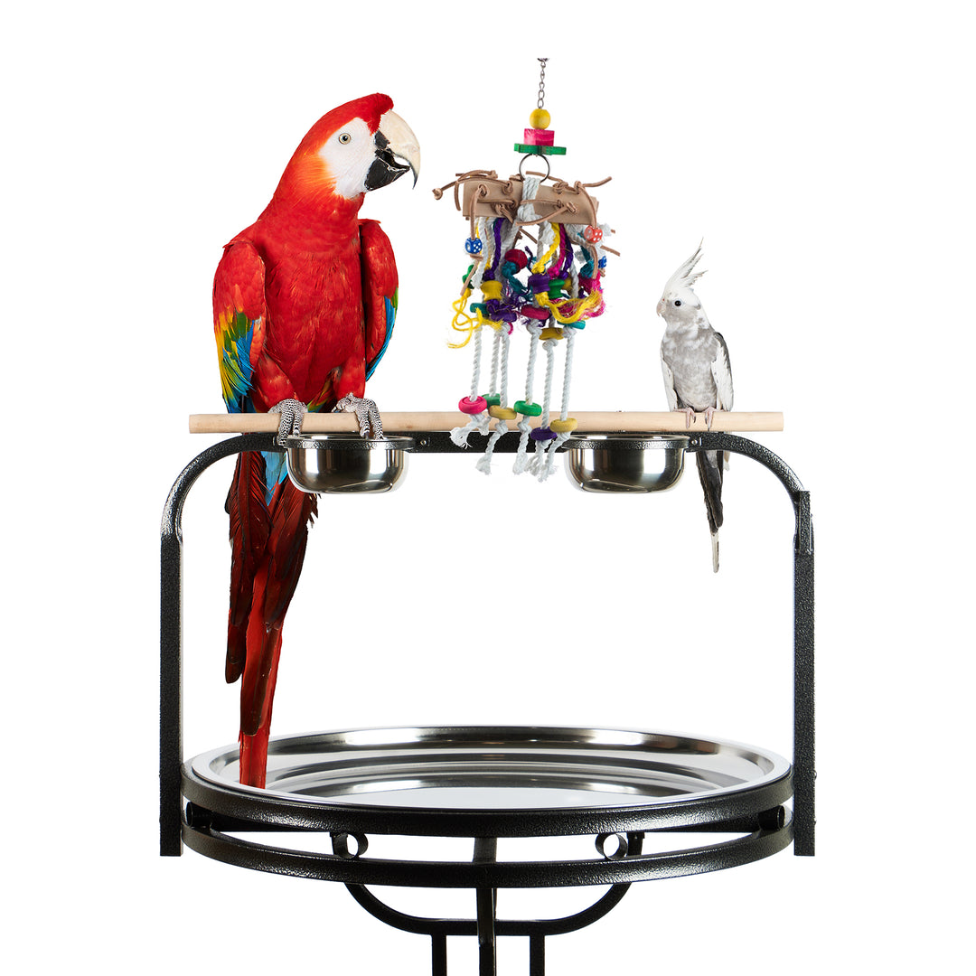 Aria Saddle Up - Chew & Climb Interactive Bird Toy #2023