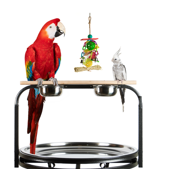 Aria The Dangler - Chew Bird Toy #2035