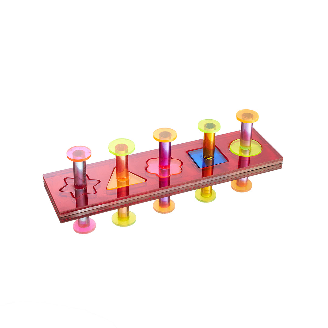 Aria Geo Puzzle - Interactive Training Bird Toy #2332