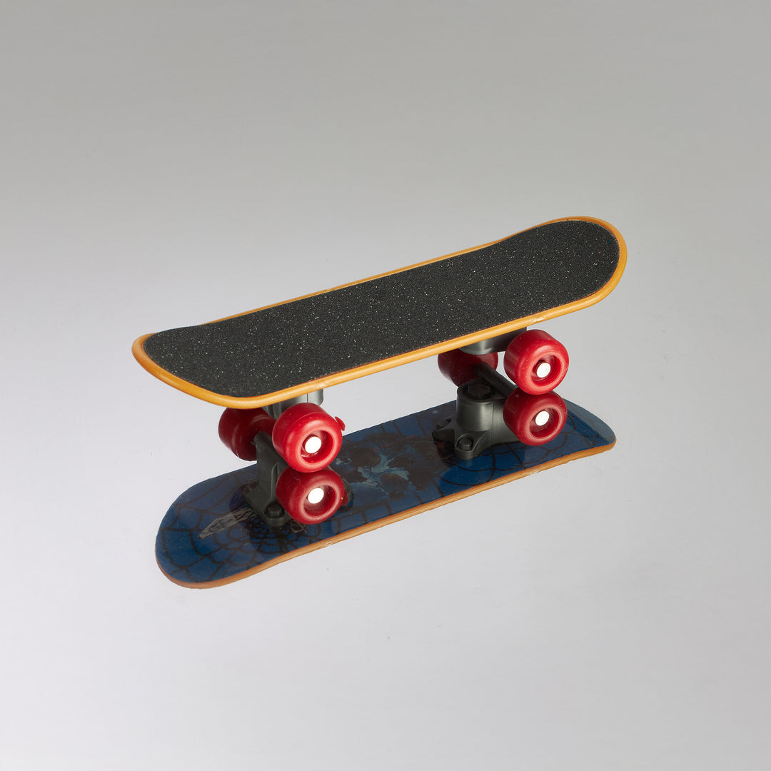 Aria Skateboard Fun - Interactive Training Bird Toy #2353