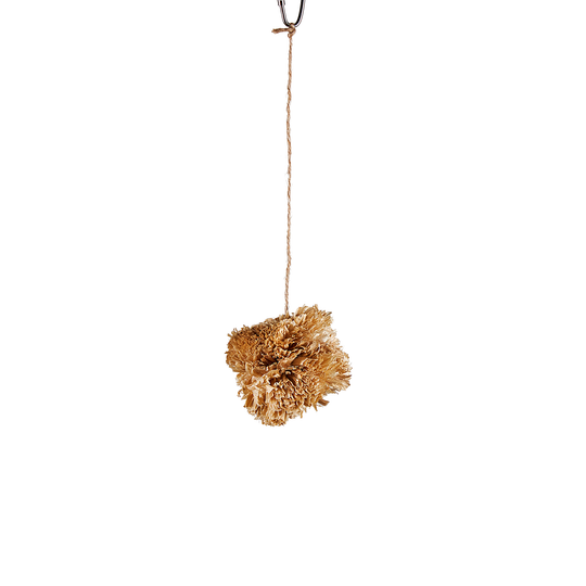 Aria Fuzzy Bear - Chew Bird Toy #2377