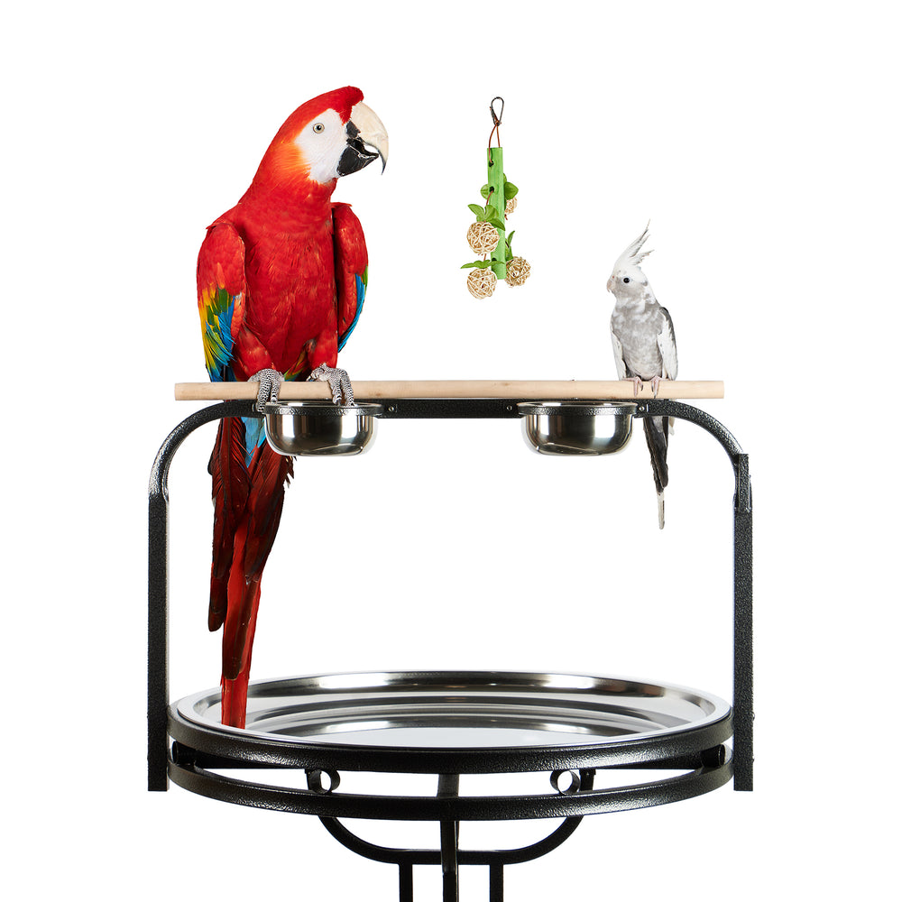 Aria Munch Berries - Foraging & Chew Bird Toy #2382