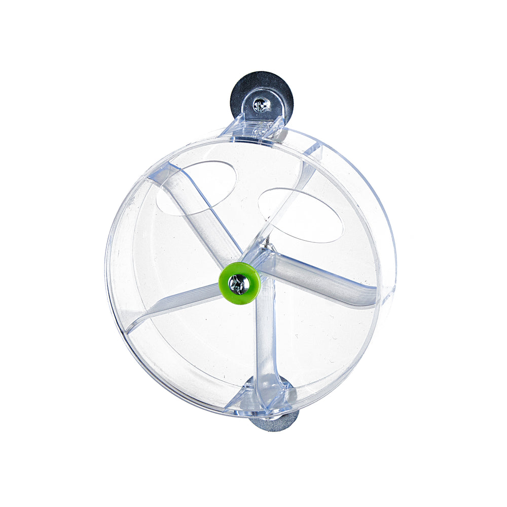 Aria Foraging Spinner - Puzzle Bird Toy #2393