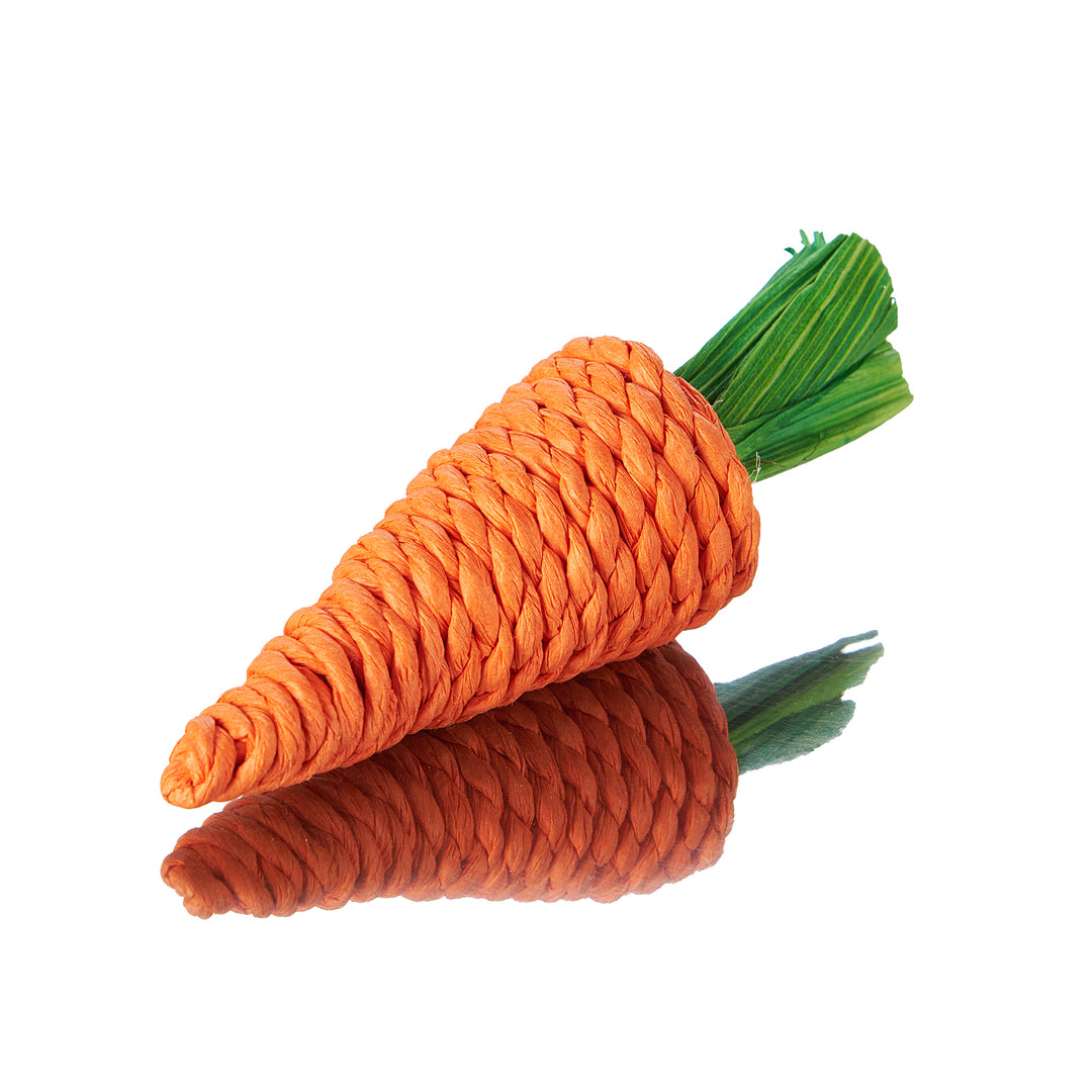 Aria Carrot Chewy - Foot & Chew Bird Toy #2412