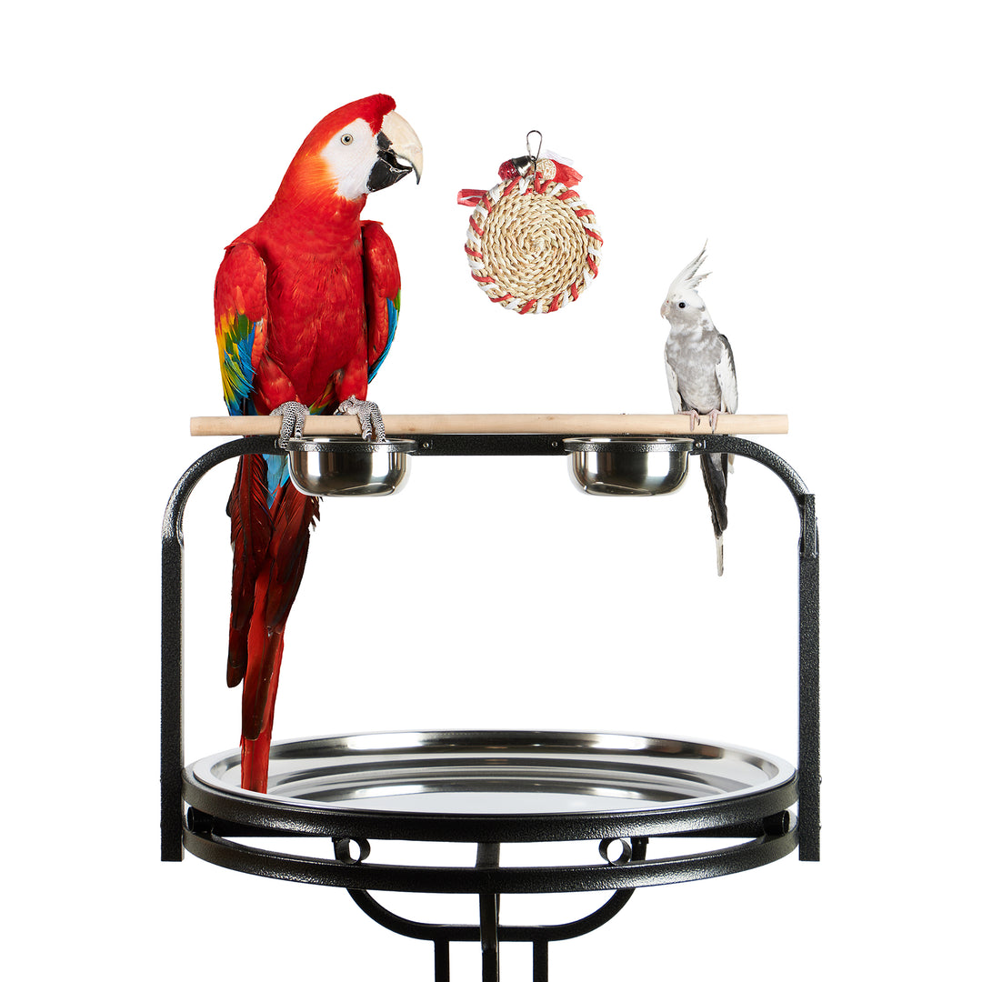 Aria Sweet Hearts - Chew Bird Toy #2432