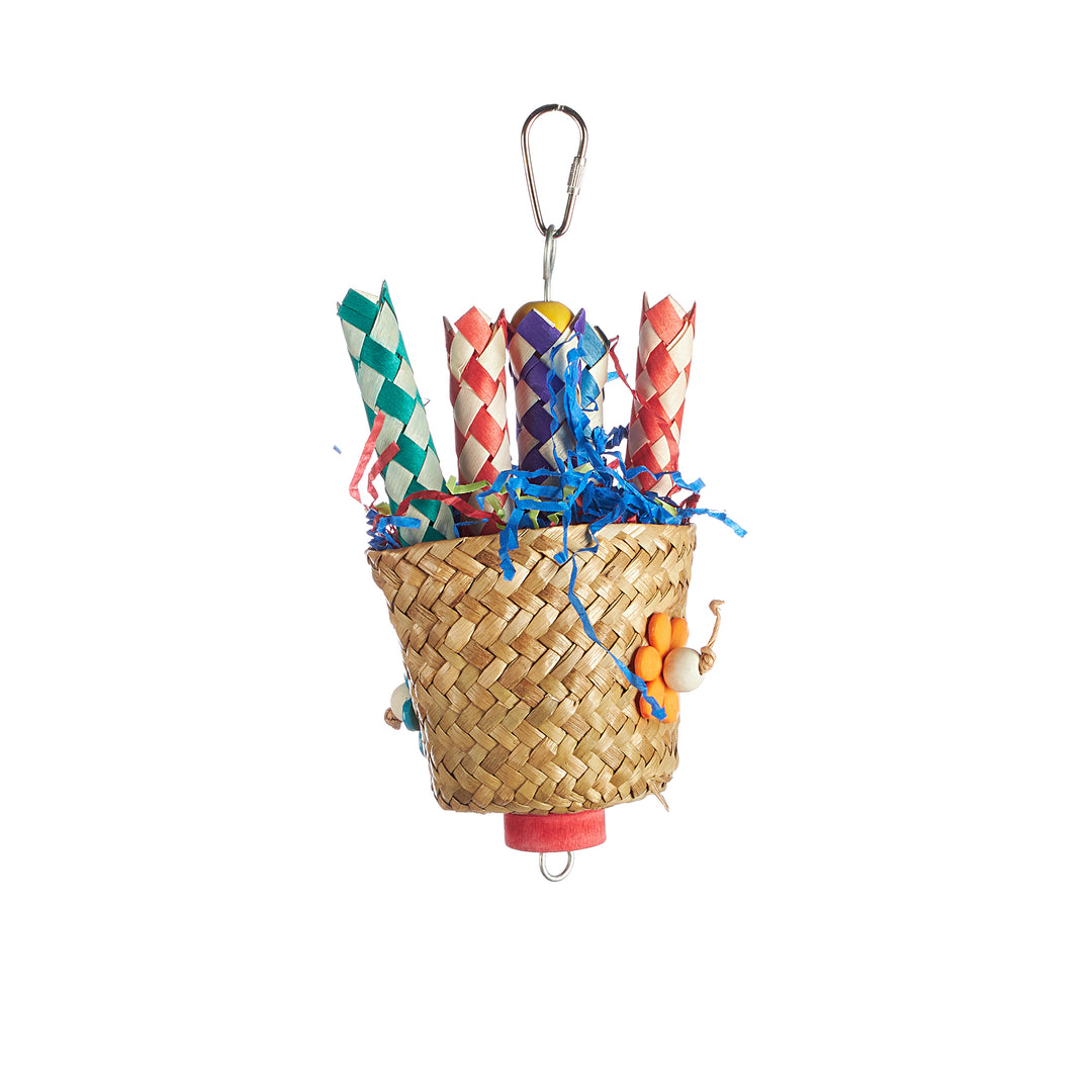 Aria Take Your Pick - Chew & Foraging Bird Toy #2460