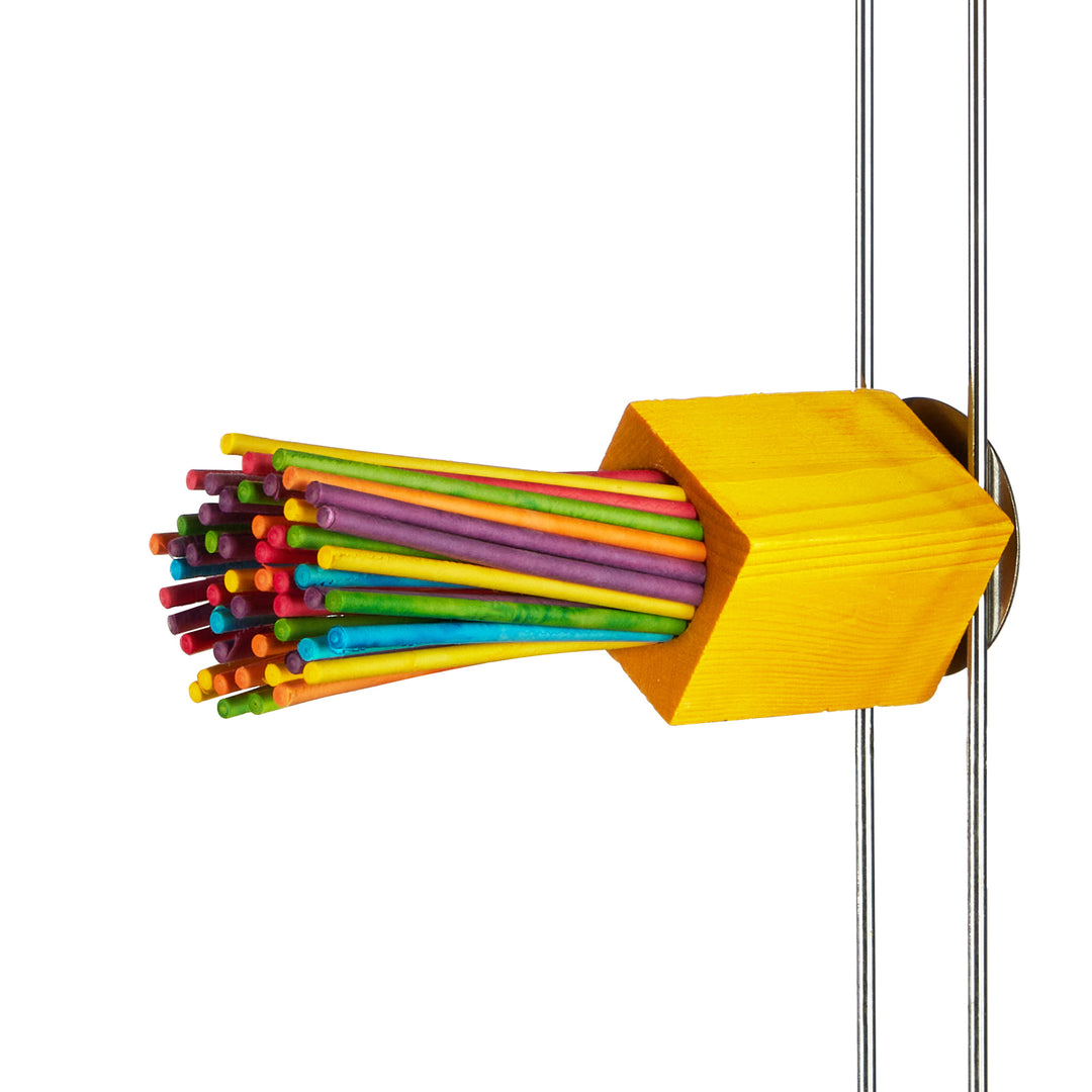 Aria Picky Sticks - Chew & Foot Bird Toy #2499
