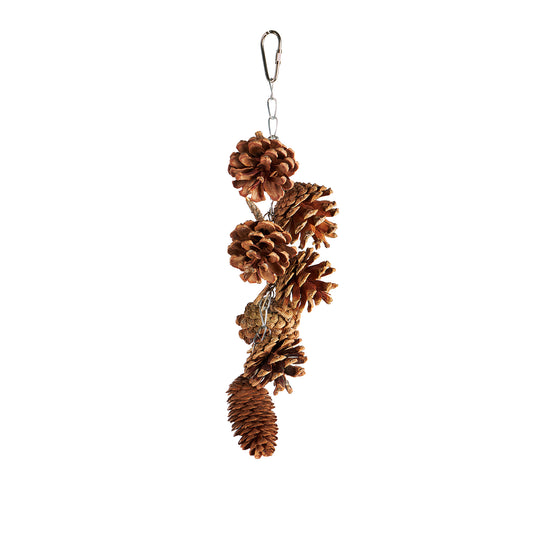 Aria Chew Cones - Chew Bird Toy #2552