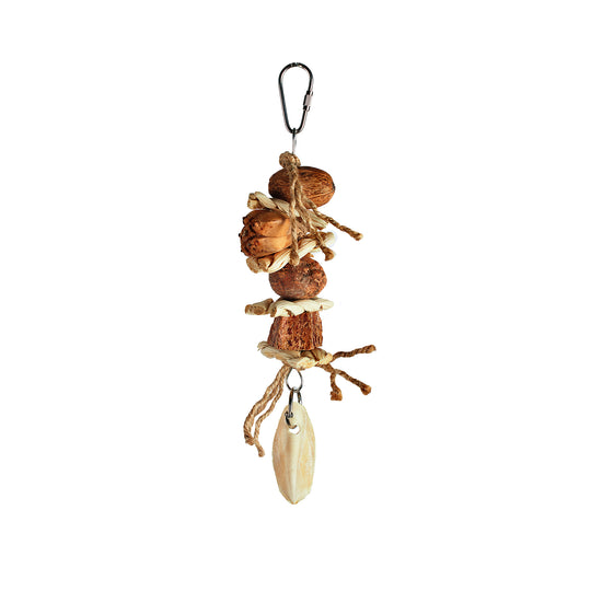 Aria Willie Wonka - Chew Bird Toy #2553