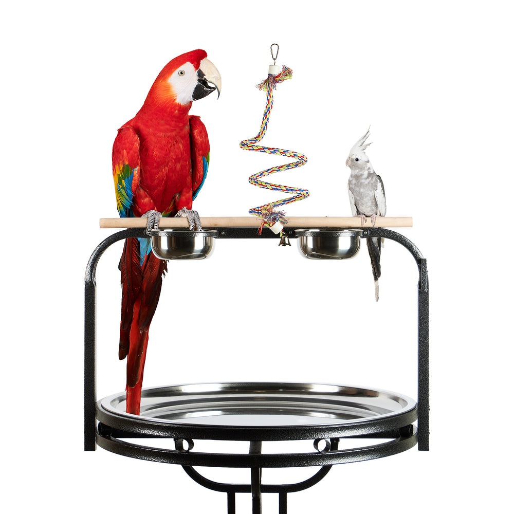 Aria Bouncy Boing Small/Medium - Cotton Bungee Swing Bird Toy #2040