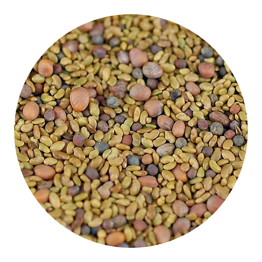 Handy Pantry Sprouting Seeds 3 Part Salad Mix Organic - 4oz