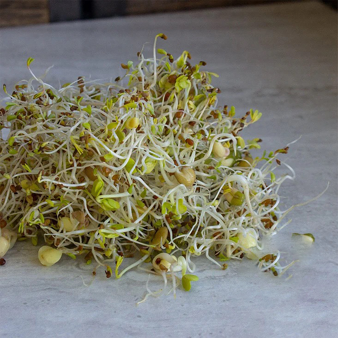 Handy Pantry Sprouting Seeds 5 Part Salad Mix Organic - 4oz