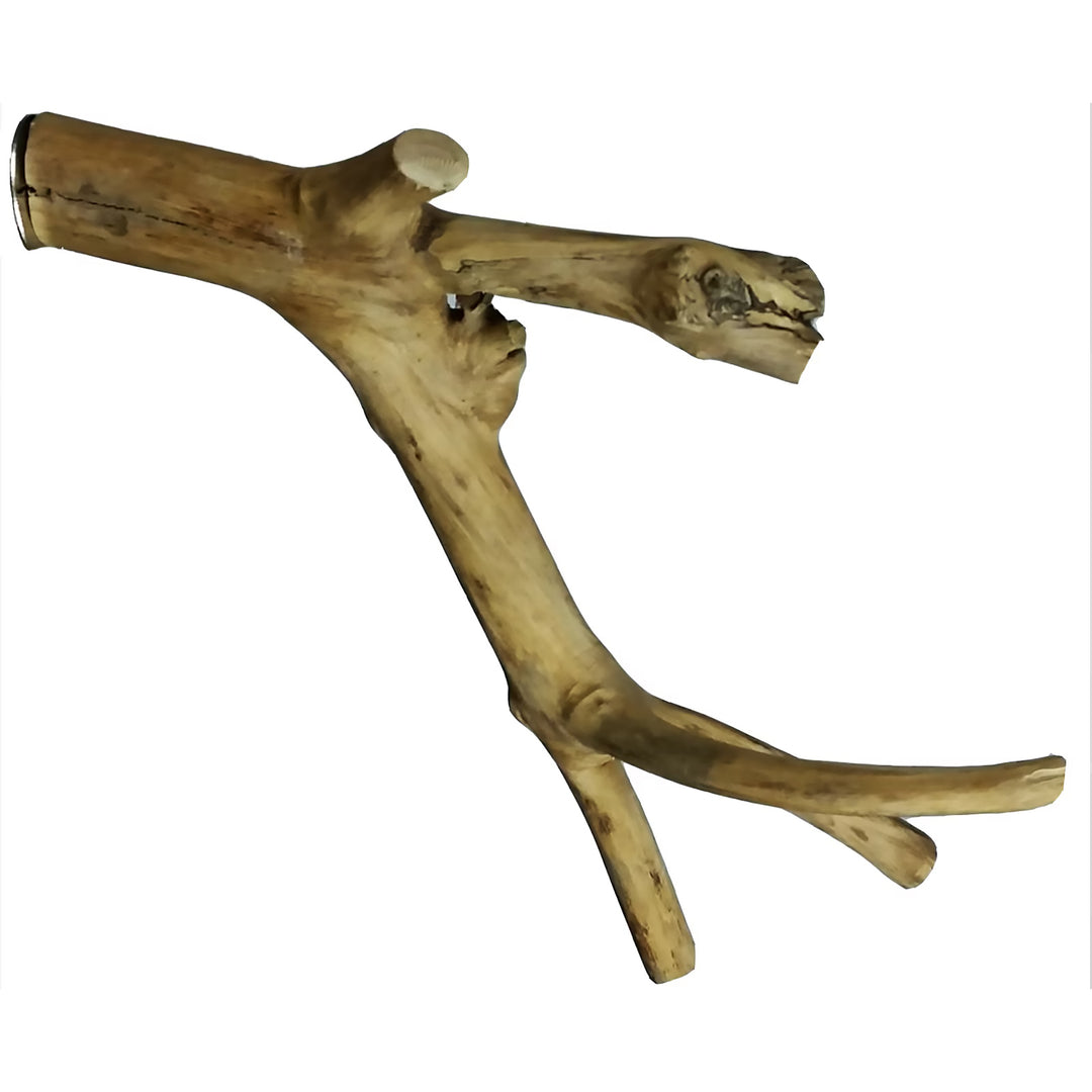 A&E Cage Company Extra Small Java Wood Multi-Branch Perch 14" - Natural Coffeawood Bird Perch #AE6000XS
