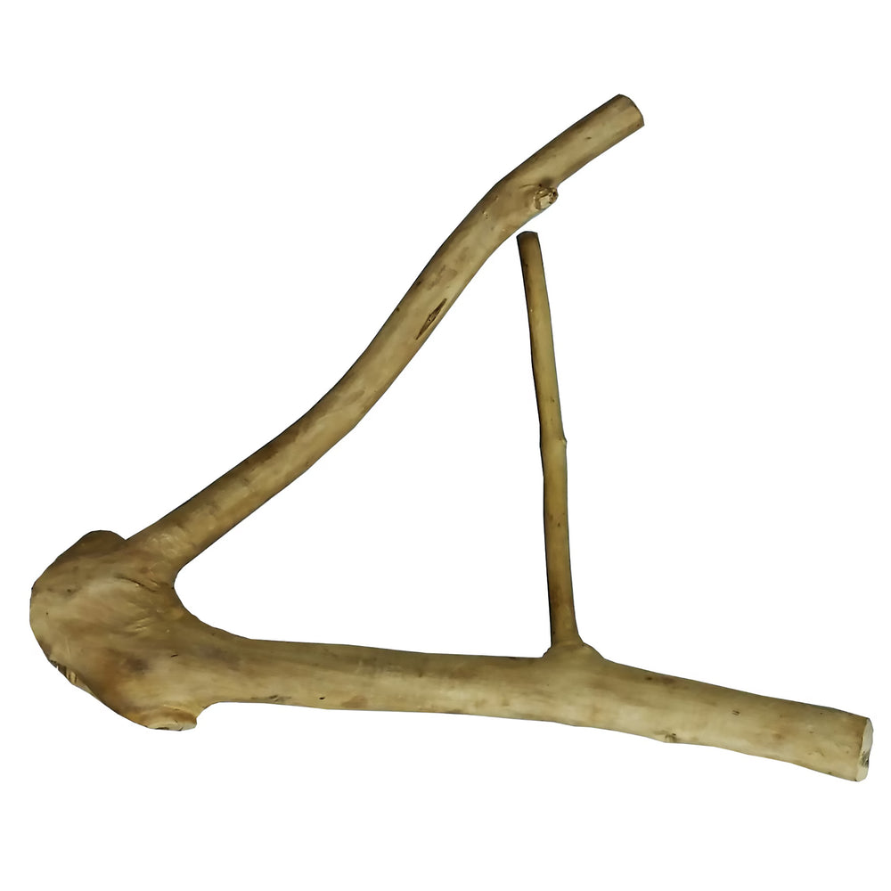 A&E Cage Company Small Java Wood Multi-Branch Perch 16” - Natural Coffeawood Bird Perch #AE6001S