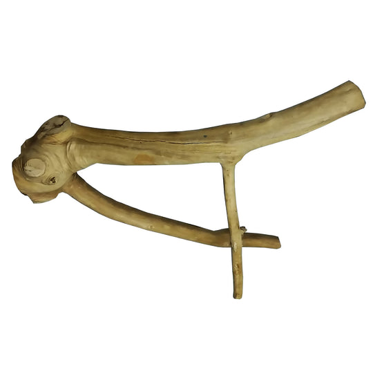 A&E Cage Company Small Java Wood Multi-Branch Perch 16” - Natural Coffeawood Bird Perch #AE6001S
