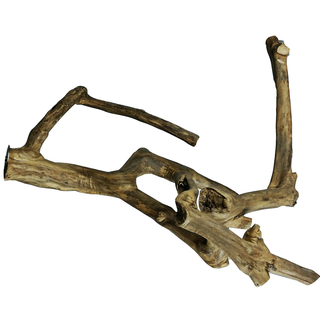 A&E Cage Company Medium Java Wood Multi-Branch Perch 22" - Natural Coffeawood Bird Perch #AE6002M