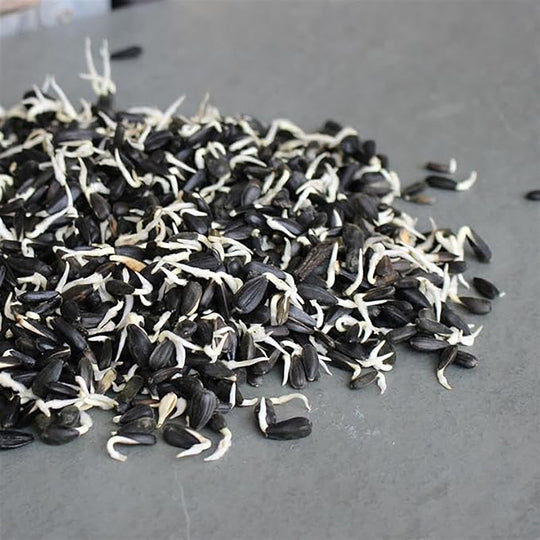 Handy Pantry Sprouting Seeds Sunflower Black Oil Organic - 8oz