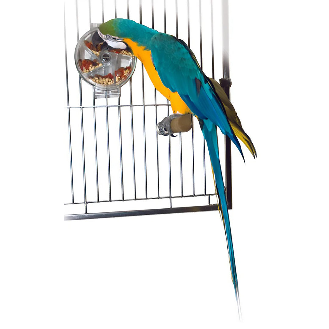 Caitec Featherland Paradise Foraging Wheel - Puzzle Treat Dispenser Bird Toy