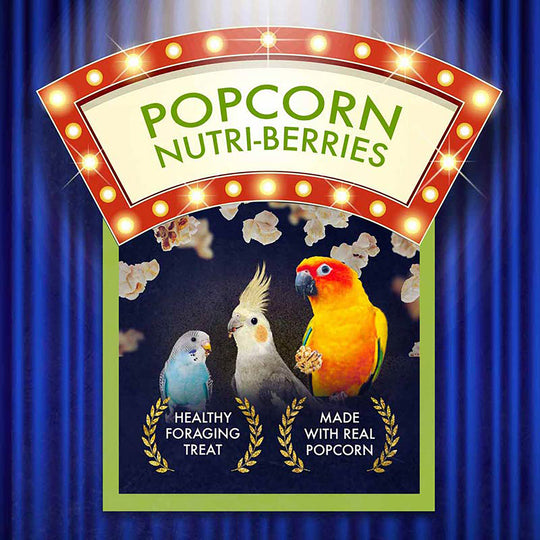 Lafeber's Cockatiel Popcorn Nutri-Berrie Treats - 4oz