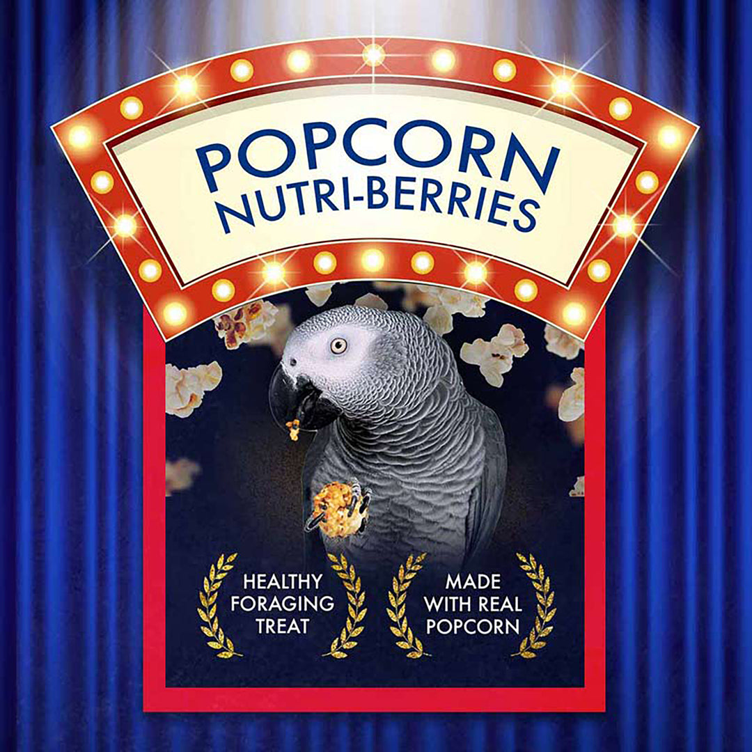 Lafeber's Parrot Popcorn Nutri-Berrie Treats - 4oz
