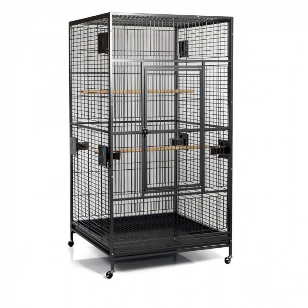 A&E Cage Company Macaw Flight Cage Black - 40” x 40” - Large Bird Enclosure #4040FL