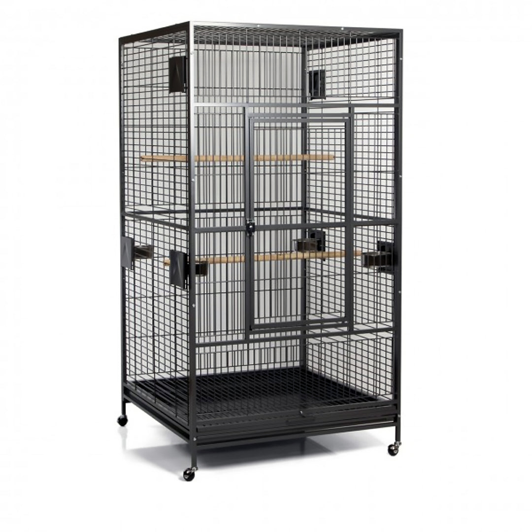 A&E Cage Company Macaw Flight Cage Black - 40” x 40” - Large Bird Enclosure #4040FL