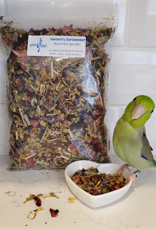 Aria Nature's Enrichment Bountiful Garden Premium Food Blend Large - 5.5oz