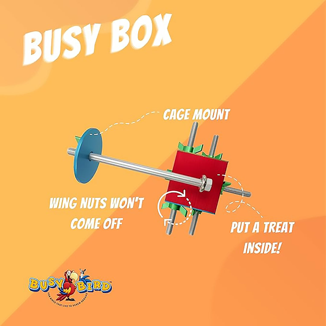 Busy Bird Busy Box Foraging Bird Toy - Interactive Treat Dispenser