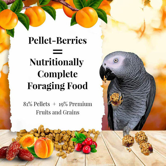 Lafeber's Pellet-Berries for Parrots - 10oz