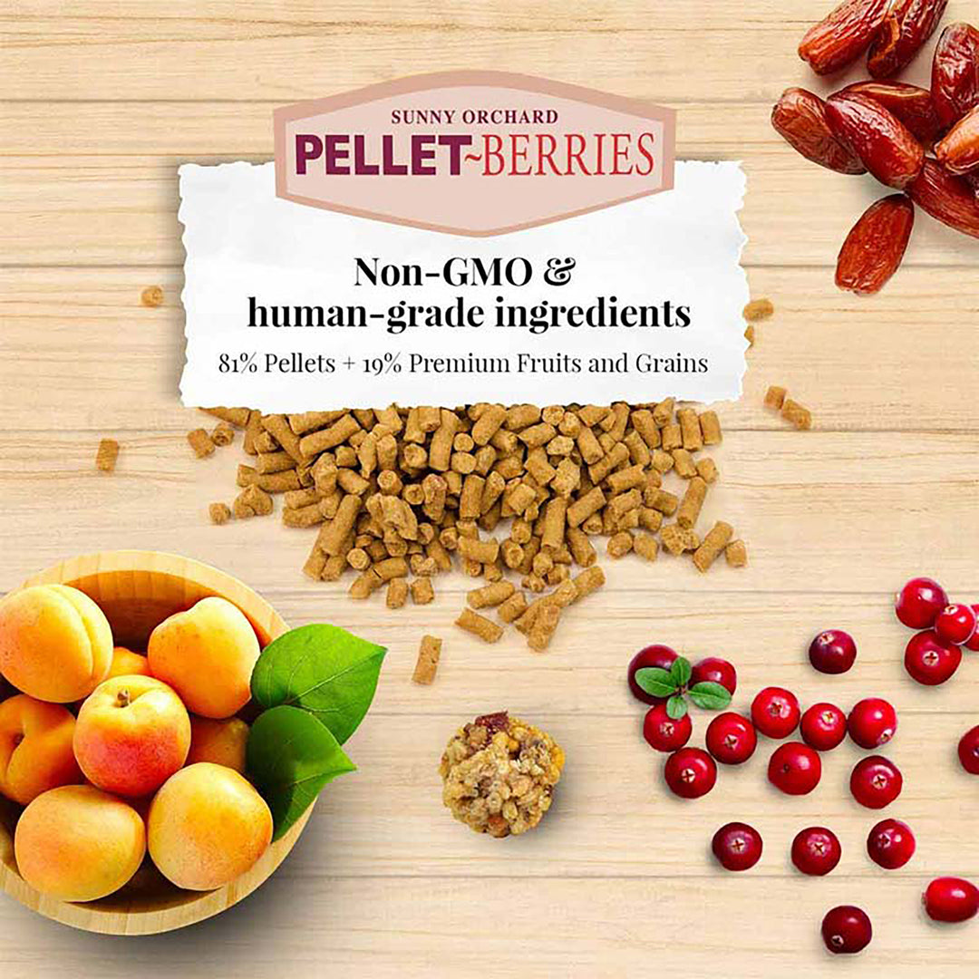 Lafeber's Pellet-Berries for Parrots - 10oz