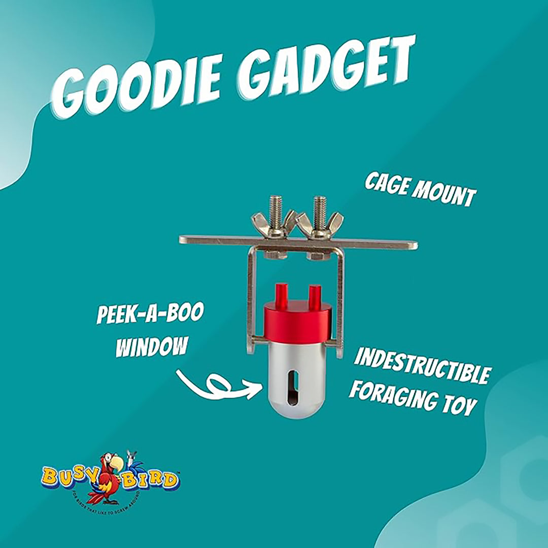 Busy Bird Goodie Gadget Foraging Bird Toy - Treat Dispenser