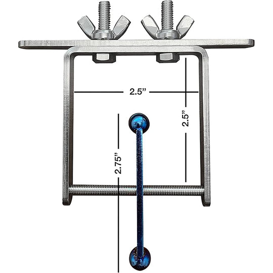 Busy Bird Busy Spinner Blue Flame Stainless Steel Spinner Bird Toy with Traveling Spinner - Durable Puzzle Enrichment Toy